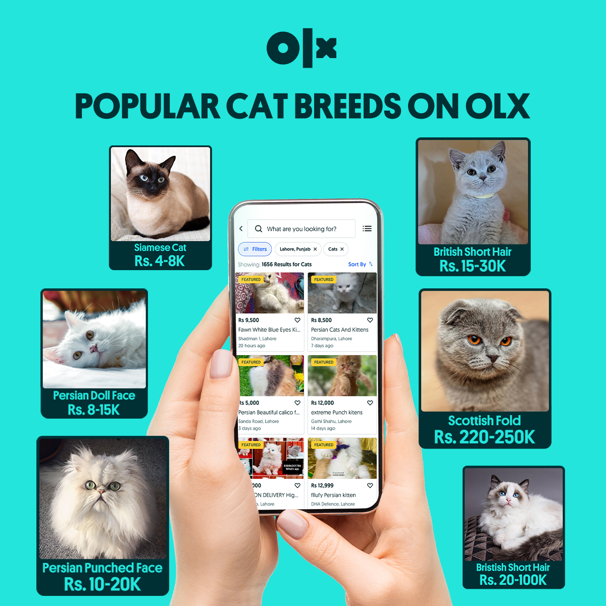 Let us know your favorite cat breed in the comments!
Find Cats on OLX: bit.ly/3GTAAOE
#olx #olxpakistan #buy #sell #catbreeds #cattypes #persiancat #catsonolx
