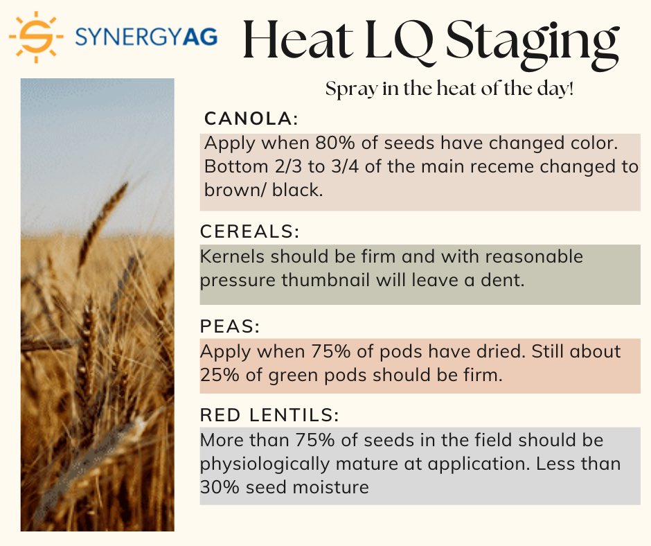 Staging tips when you’re looking to Heat up your Glyphosate! #rootsyoucancounton