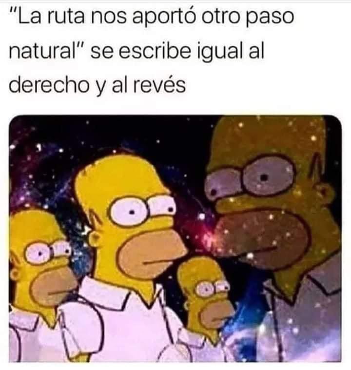 ¿Conoces algún otro palíndromo? 🤔