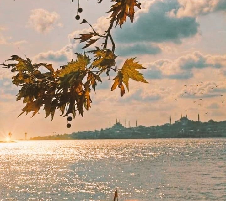 Reader79858220's tweet photo. Kalp midir insana sev diyen,
Yoksa yalnızlık mıdır körükleyen?
Sahi nedir sevmek; 
Bi muma ateş olmak mı,
Yoksa yanan ateşe dokunmak mı?

Şems-i Tebrizi
***
💫🌿🕊️💫🌿🕊️💫🌿🕊️💫

#iyiaksamlar
#selamveduaile
#aksamlar
#huzur
#gunkavusuyor
#goodafternoon
#hope https://t.co/bfJXM8GIv6