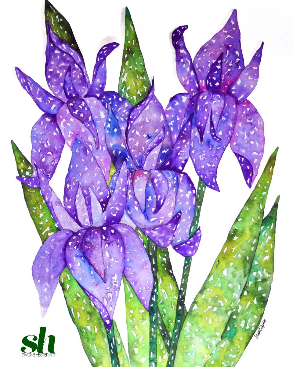 SimoneHesterArt's tweet photo. Never be afraid to try something new.  I wanted to see how the "stippling" technique would look in a painting.  Let's just say, not a fan. What makes the piece beautiful are the flowers and the color purple. 

#botanicalart #flowers #watercolor https://t.co/1mc7Dgffy2