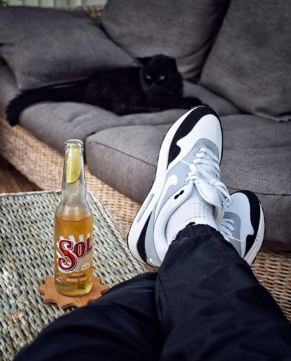 SolBeerUS's tweet image. Kickin’ back on National Relaxation Day. 
📸: pugsandkicks (IG)