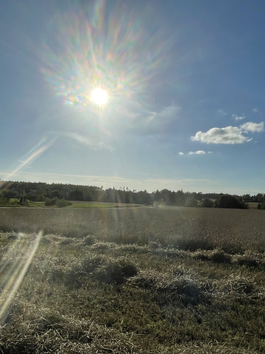 Sadonkorjuuaika tarjoaa usein myös upeita luontoelämyksiä, mm upean auringonlaskun. ⁦<a href="/MTKry/">MTK</a>⁩ @biodiversiteetti @hiilensidonta