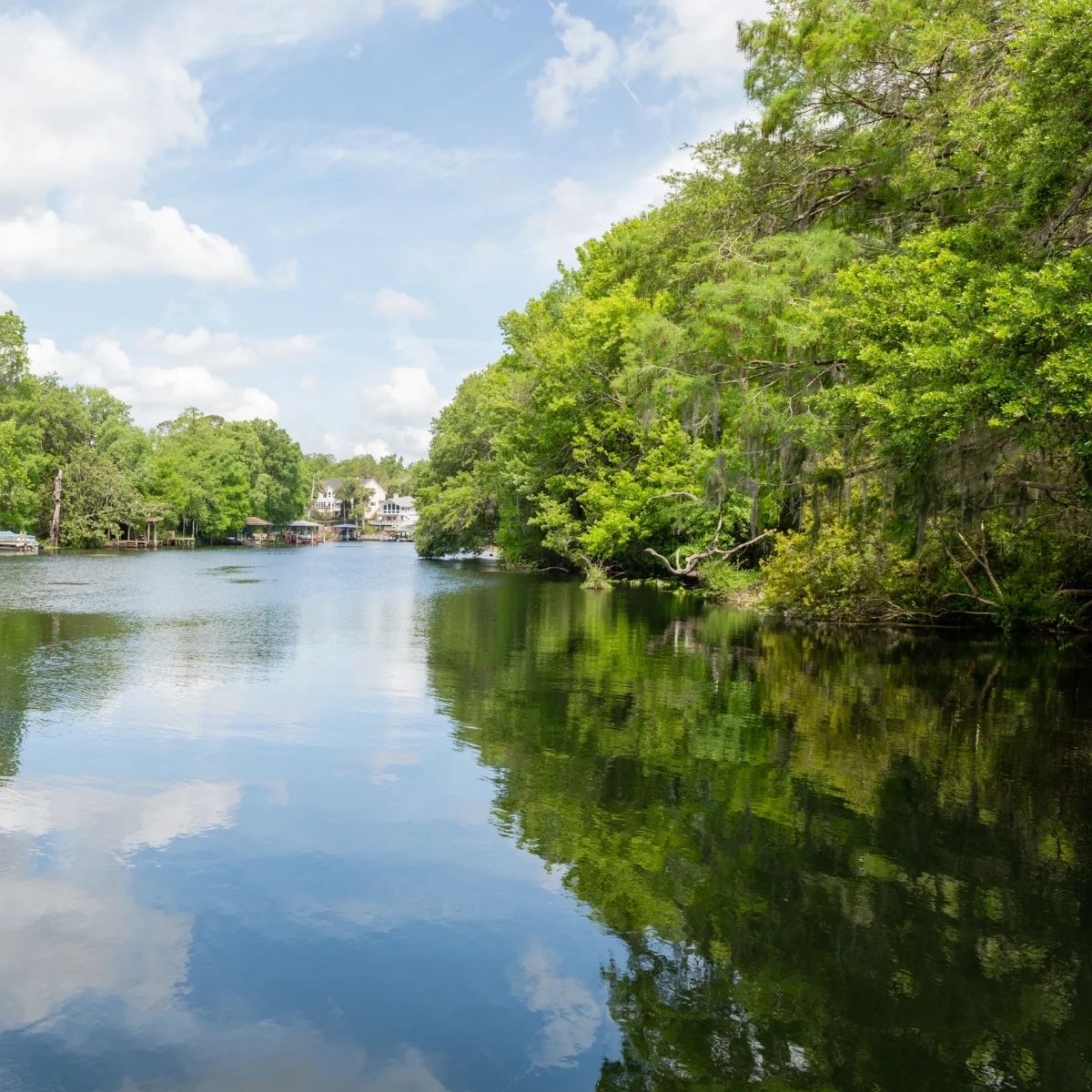 SingingTours's tweet photo. Immerse yourself in nature's wonder as you cruise along the crystal clear waters of the Rainbow River and take in the stunning scenery. https://t.co/Ph9TzOxLYI