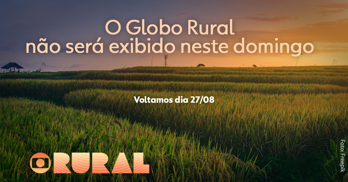 Globo Rural on X: O #GloboRural não será exibido neste domingo por causa  do final da Copa do Mundo Feminina. Voltamos no dia 27/08!   / X