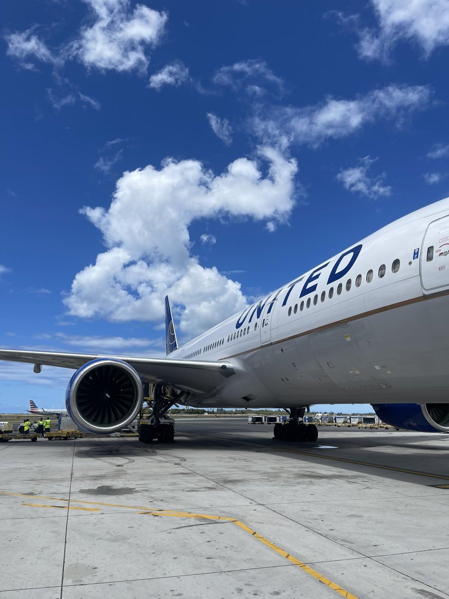 RaphaelatUnited tweet media