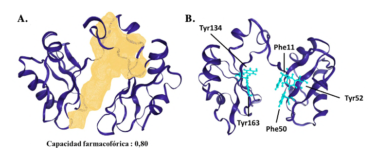 Evaluación computacional de las interacciones de compuestos naturales y el dominio unión al ARN de las nucleolinas utilizando acoplamiento molecular y simulaciones de dinámica molecular acortar.link/DbxYGv #cancer #bioinformatica #productosnaturales