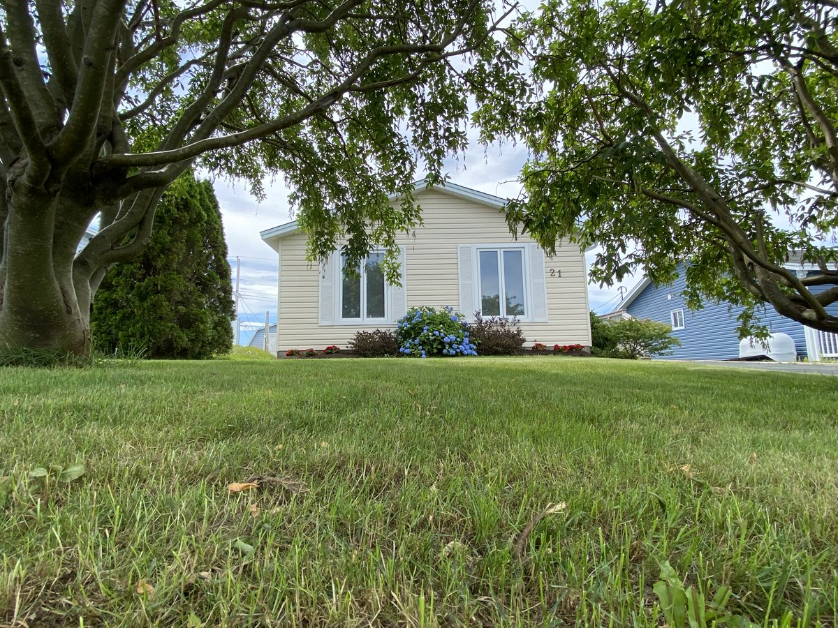 NEW LISTING
21 MontClair  St, Mount Pearl
$224,900

*3-bedroom
*Back yard access
*Updated windows, shingles &amp; door
*New flooring and lighting on most of the main floor
*Conveniently located minutes from Kenmount Road &amp; on a school bus route.

Virtual tour: youtu.be/ZDolWRpvirU