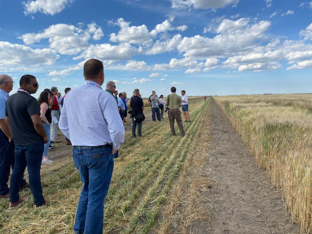 RJ Sigurdson tweet media