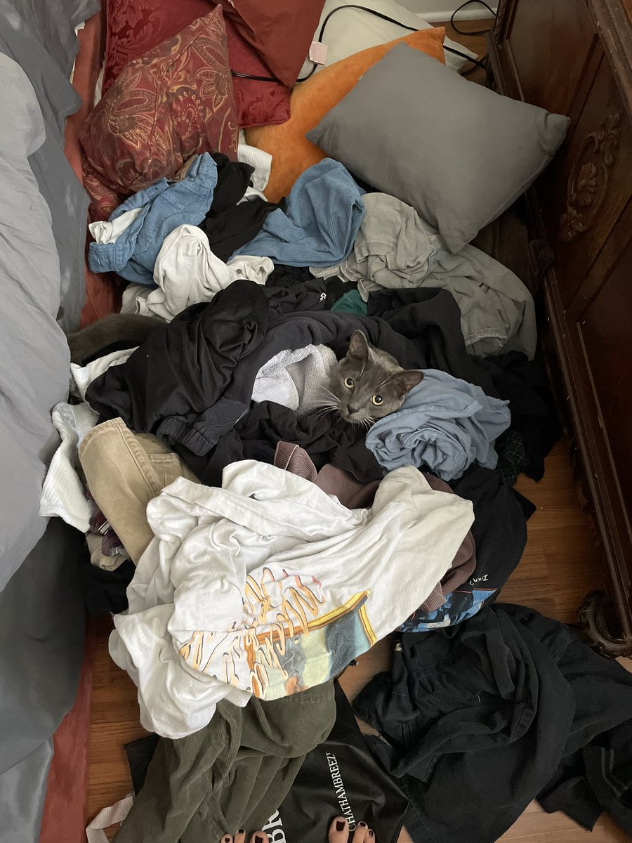 show show show eventbrite.com/e/heelix-w-dal…