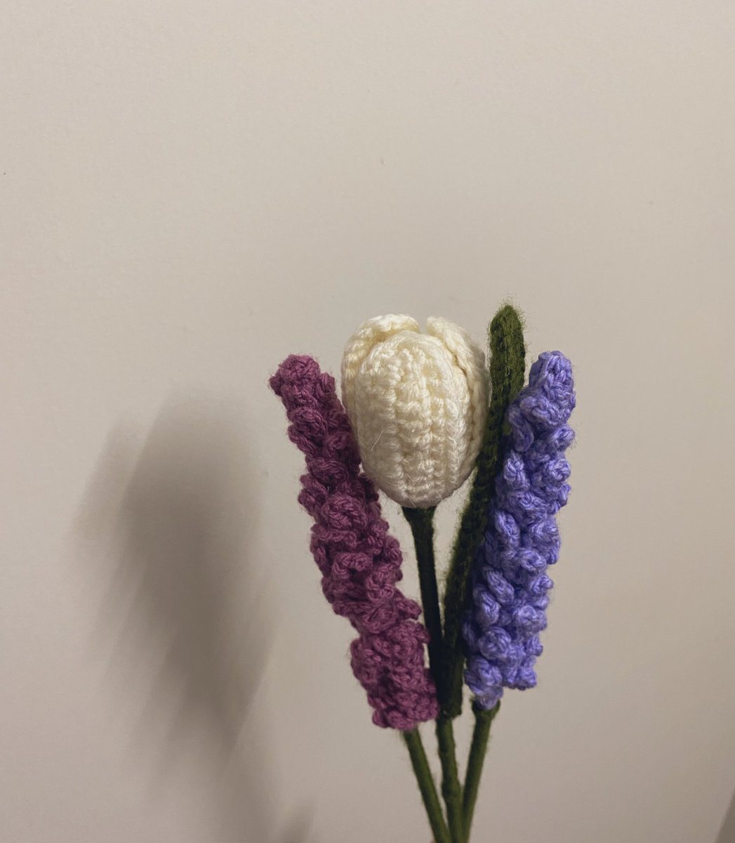 Crocheted tulip and lavenders🌷✨
#crochet #crochetlover #crochetflower #crochettulip #crochetlavender #SmallBusiness #WomenInBusiness #WomenEmpowerment