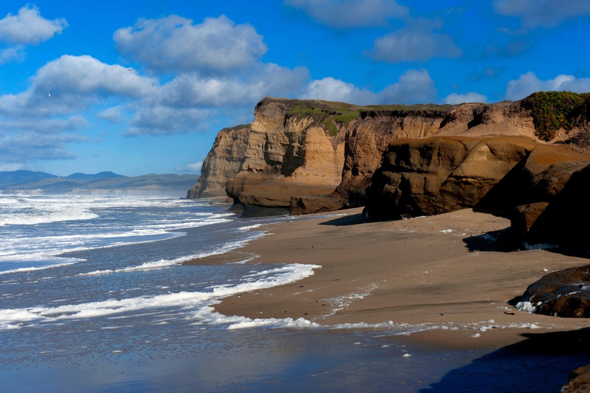 CAStateParks's tweet photo. Check out the CA State Library Parks Pass from your local library and embark on an amazing adventure for FREE! 
📍 Find nearby libraries and state parks that accept the pass. 
 🗺️ Discover library and park locations on the map.
 📌 Learn more: https://t.co/7VuXBXufvC https://t.co/Tb064UXBa3