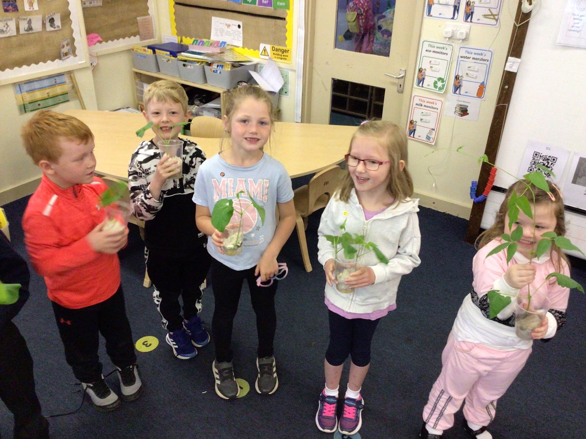 whitdale-primary-school-whitdale-ps-posts-x