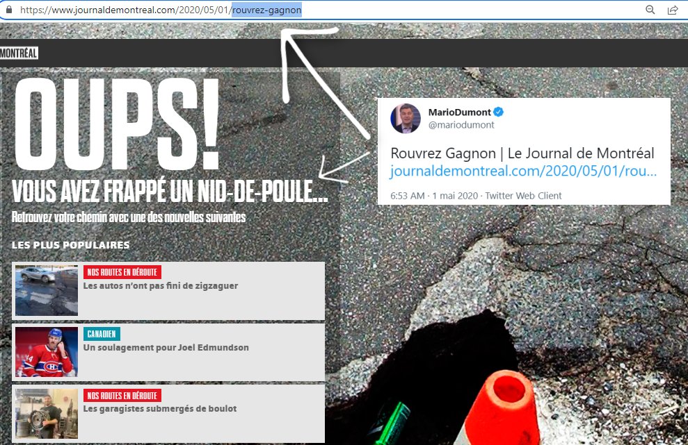 Mel Goyer tweet media