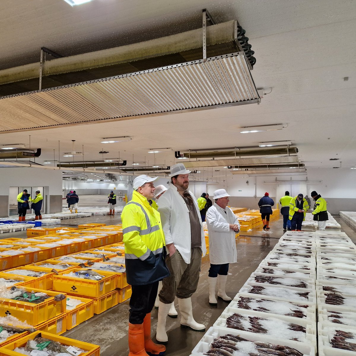 Grand day out with chefs, great opportunity to see the journey from boat to kitchen thanks to <a href="/AmityFishCoLtd/">Amity Fish Company</a> and Jimmy for your time and knowledge great visit