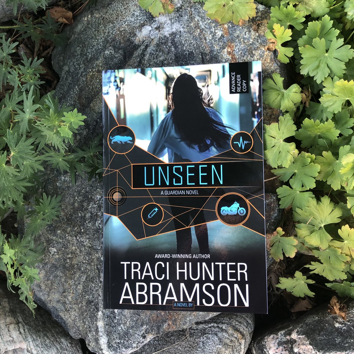 Happy #bookbirthday to <a href="/traciabramson/">Traci Abramson</a> If your looking for unputdownable romantic suspense, this is it! Now available here: amazon.com/Unseen-Guardia… #Unseen #guardianseries #tracihunterabramson #RomanticSuspense #cleanromanticsuspense #wholesomesuspense @covenantcomms #suspense