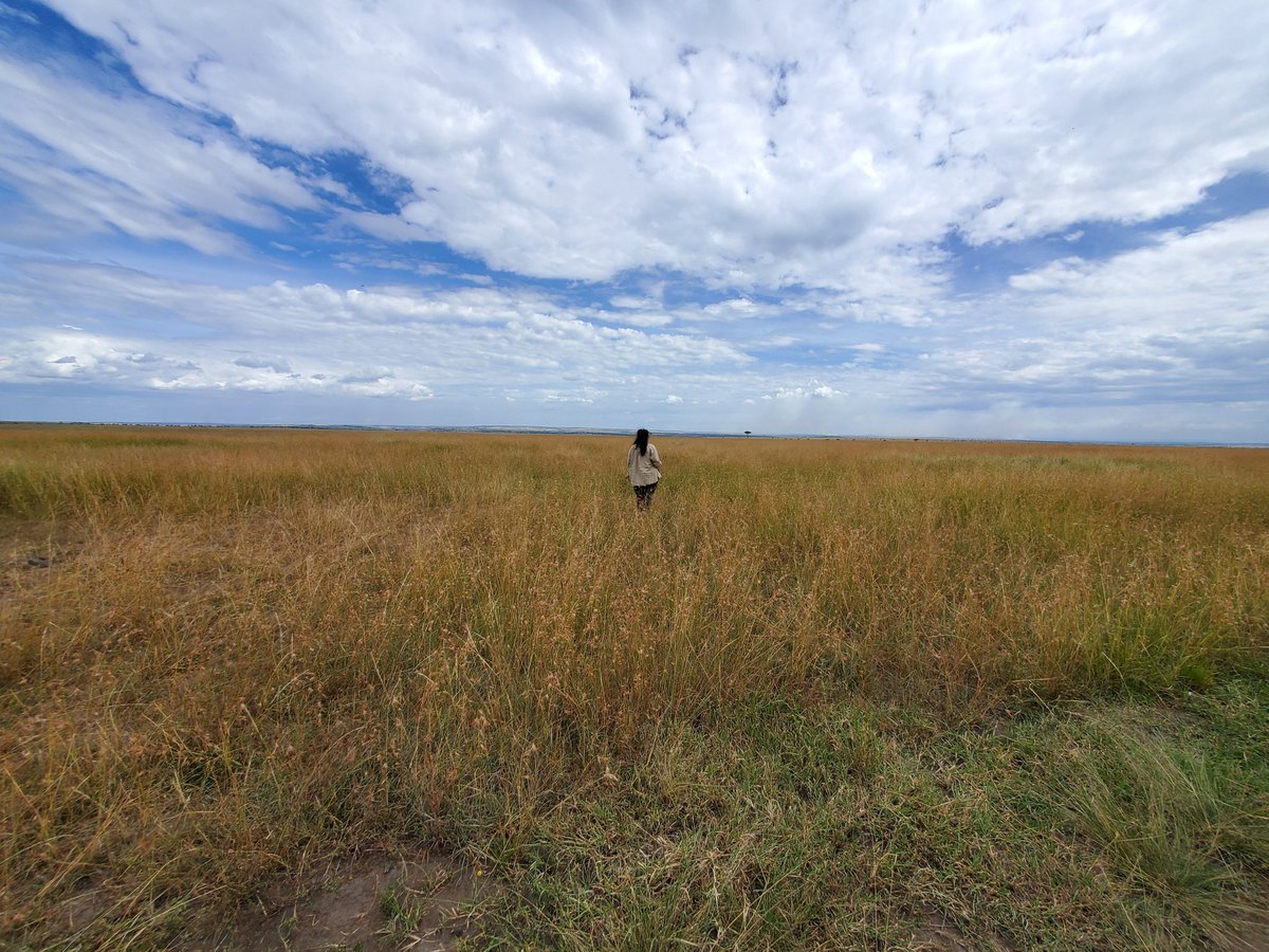 ThemTrips's tweet image. Two months ago our lives consisted of all day game drives, looking for wild #animals to photograph.

Near the end, I remember thinking, I could do this forever, I want this to be my life.

It is now even harder now to go back to a corporate life.

#photooftheday 
#photolife
