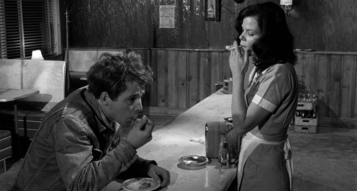 Criterion Collection tweet media