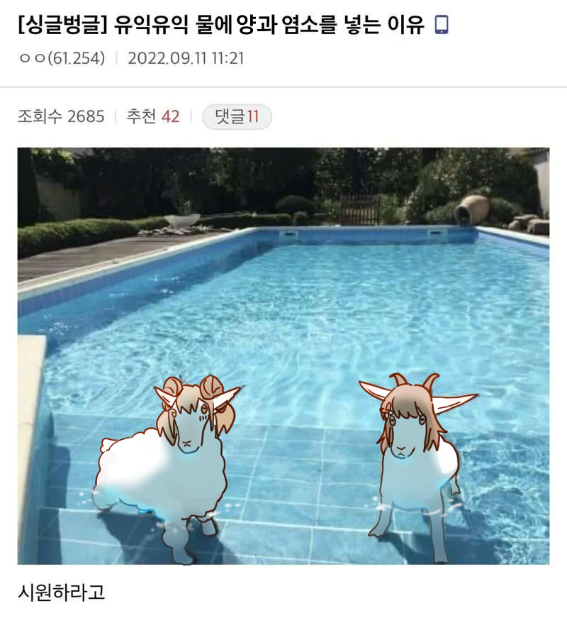 물에 양과 염소를 넣는 이유