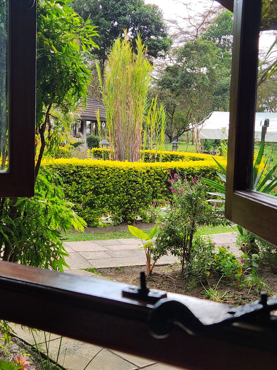 Dr Joan Myers OBE, QN, FQNI tweet media