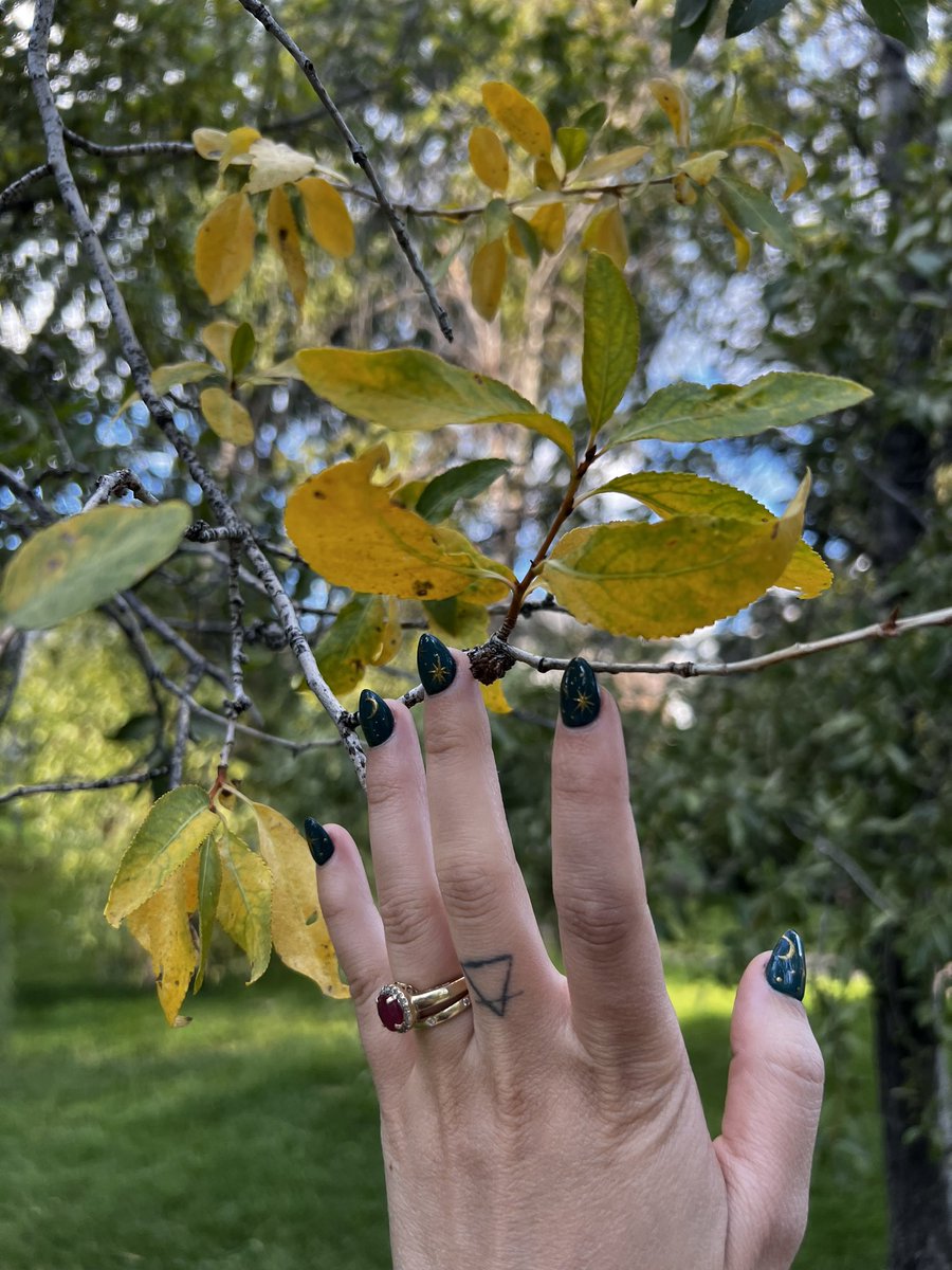 lexintheforest's tweet photo. first signs of fall 🍂 https://t.co/SseK8fFqkQ