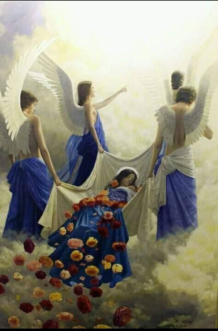 japhizo's tweet photo. #Assumption 
Mary's Ninja 🌹💪 https://t.co/iL84RSyF3h