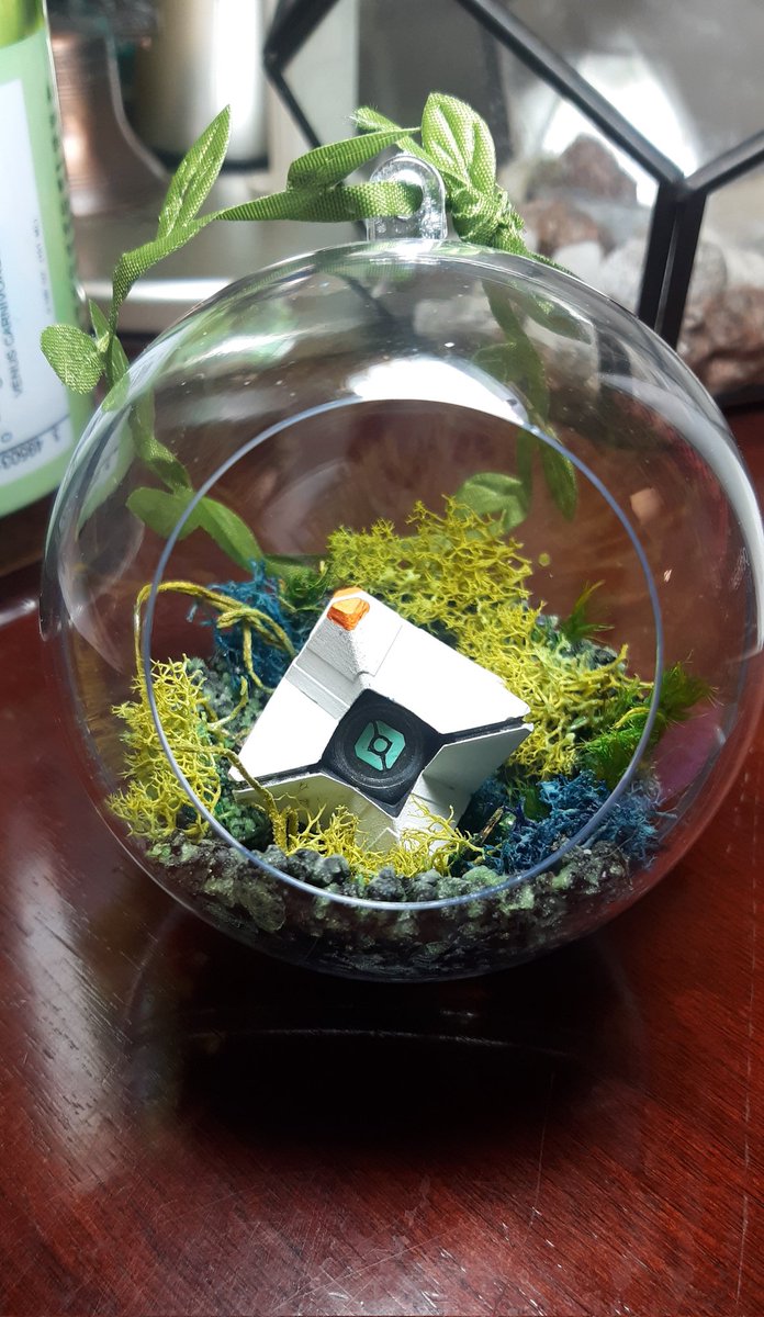 SarahJenea's tweet photo. This Generalist shell/Venus inspired terrarium has found its new home. 💙💚  Its perfect! 

The artists even included some special pieces to help me build up my flytrap terrarium. 🥺 
Thank you for being so wonderful @OSDesignShop I wish you all the success. 💜 https://t.co/MjGaERpitp