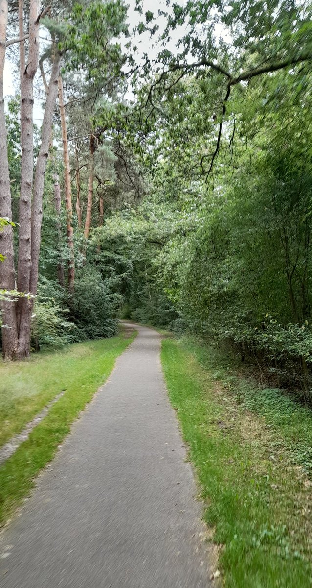 Ingmar Griffioen 🇺🇦🍉✌🏼 tweet media