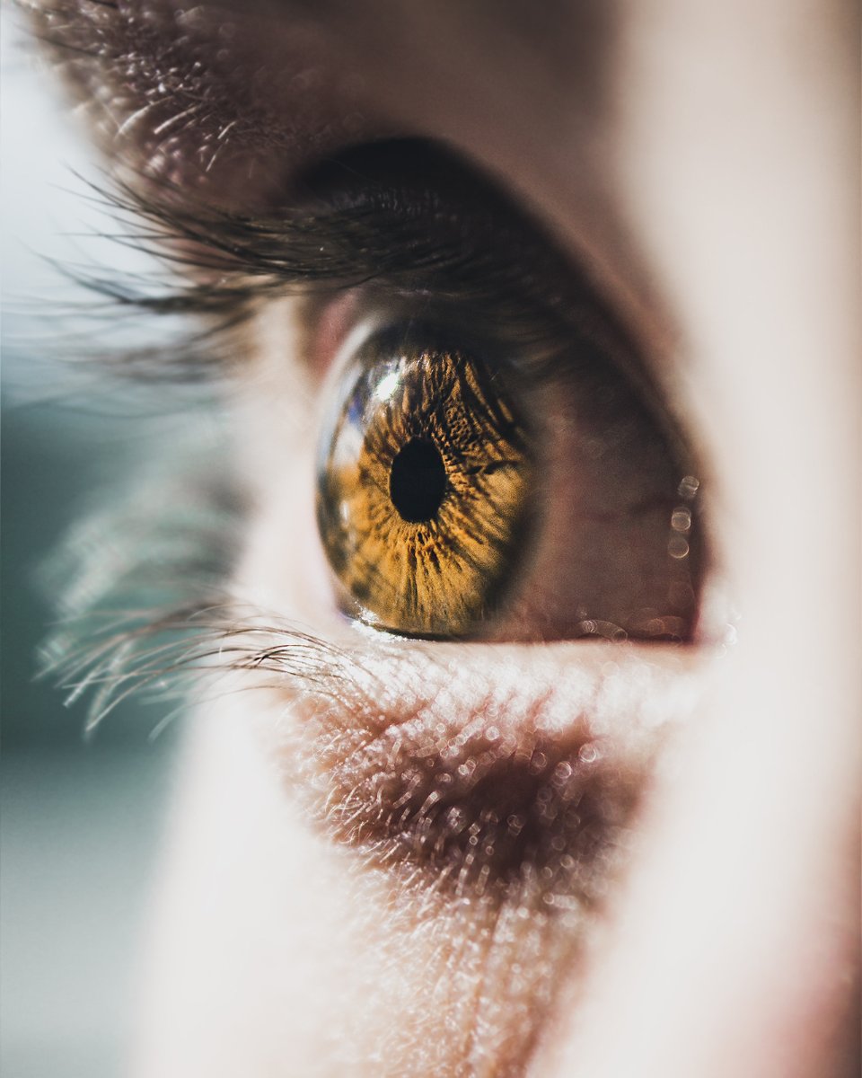 OptEyes tweet picture
