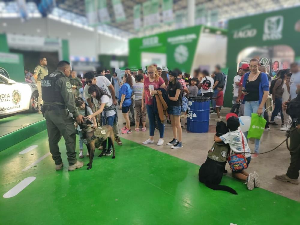 SSPC_SLP's tweet photo. ✅Podrán disfrutar de la convivencia canina con el #AK9, conocer acerca de las labores del C5i2 así como disfrutar del circuito de juegos.
¡Te esperamos! Recuerda que nos encontramos en el Pabellón Gubernamental de 12:30 del día a 9:30 de la noche.
#EnSanLuisSíHayApoyo https://t.co/JltiKEjwWC