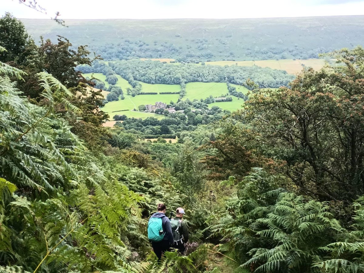 The R Mon RE (M) tweet media