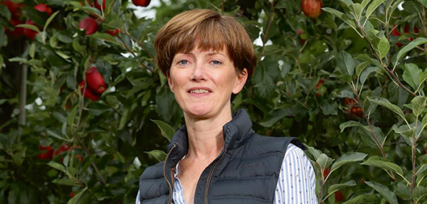 ACTfruitgrower's tweet image. Sunniest June for 66 years brings great tasting new season British apples

Read more via #HortNews &amp;gt;&amp;gt; hortnews.com/articles/horti…

@GBApples @AliCapper #britishapples