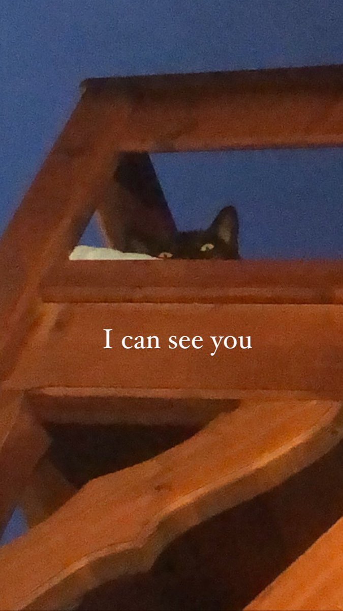 Girl in the Mirror (@mirrorversegirl) on Twitter photo 