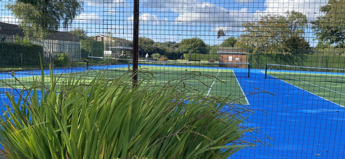 Simon Williams tweet media