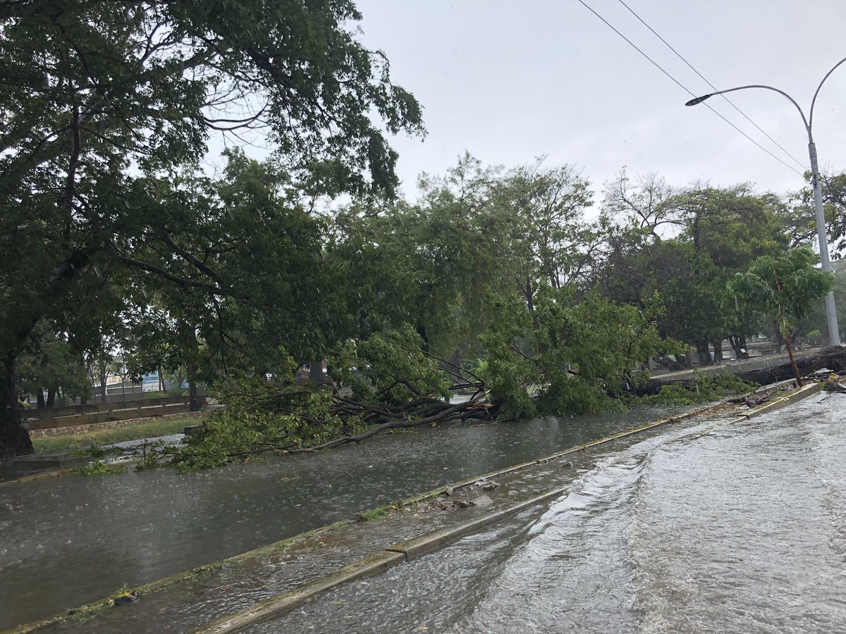 nelslyt's tweet photo. Árboles caídos a causa de la fuerte lluvia registrada este #15Ago en #Cumaná provocaron el cierre de la vía adyacente a El Tamarindo.

Es recomendable para los conductores, tomar vías alternas hasta que sea llevado a cabo el levantamiento de dicho obstáculo. https://t.co/0MSV5BukYK