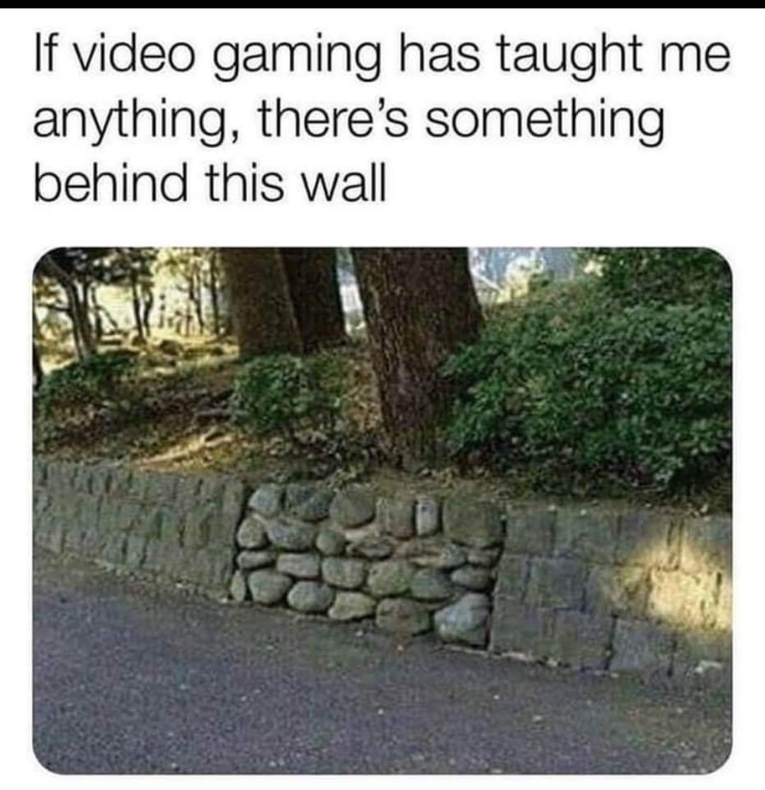 #dndmemes #dnd #pathfinder #rpg #ttrpg #secret #d20