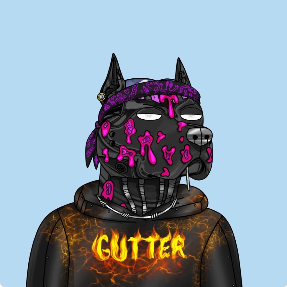 DeezNFTeez7's tweet photo. Picked up this @GutterCatGang #gutterdog #ganggang #guttercat #nft #nfteez #crypto #eth #bitcoin #gang https://t.co/bCwPKjiNbD