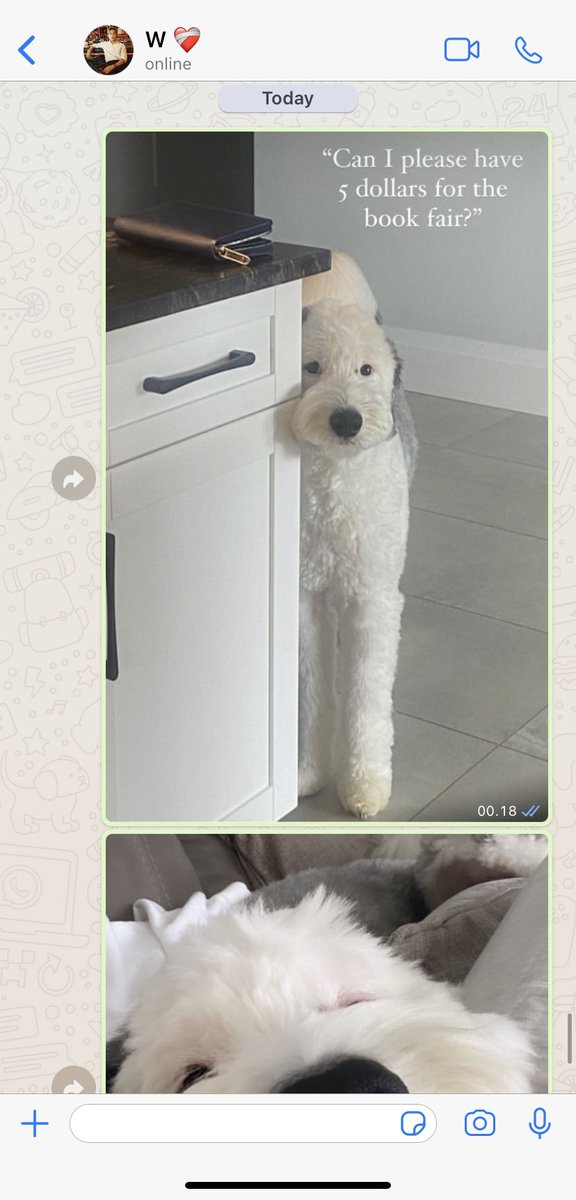 girIishly's tweet photo. #DNPW never-ending puppy saga 🐶 https://t.co/OHBU7anz3P