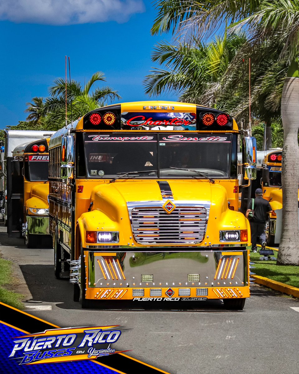 puertoricobuses's tweet photo. #INTERNATIONAL IC-CE CHARTER BUS | 12mo Día Nacional del Camionero, Guagua Escolar y Grúa 🚛 #DORADO2K23 🇵🇷📷🔥🔥
▪️
▪️
▪️
▪️
#puertoricobuses #teampuertoricobuses #trucknation #truckshow #schoolbus #charterbus #partybus #schoolbusdrivers #bus #buses #busdrivers #busshow #autobus https://t.co/eEgrP2CWZW