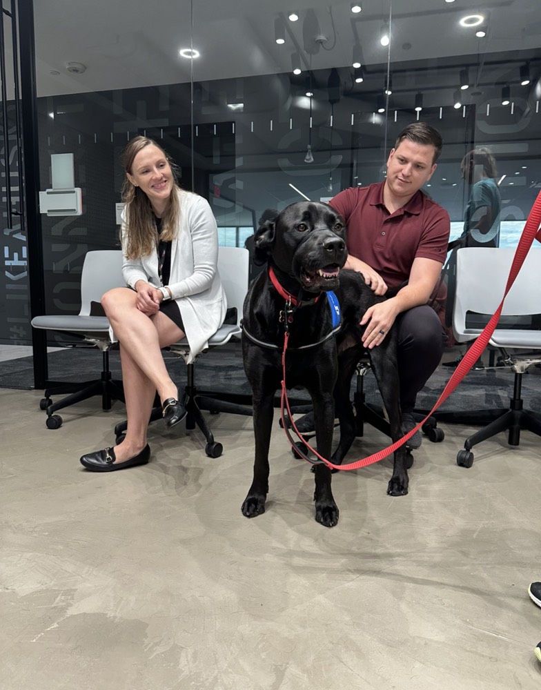 Northeastern Arlington tweet media