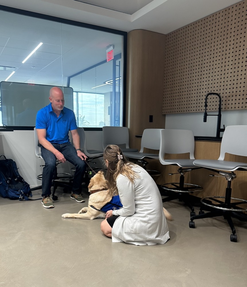 Northeastern Arlington tweet media