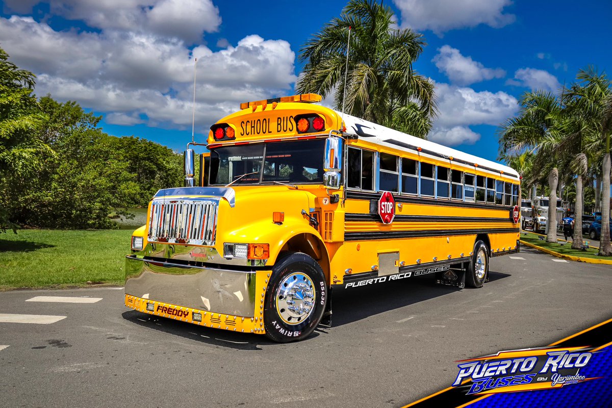 puertoricobuses's tweet photo. #INTERNATIONAL 3800B SCHOOL BUS | 12mo Día Nacional del Camionero, Guagua Escolar y Grúa 🚛 #DORADO2K23 🇵🇷📷🔥🔥
▪️
▪️
▪️
▪️
#puertoricobuses #teampuertoricobuses #trucknation #truckshow #schoolbus #charterbus #partybus #schoolbusdrivers #bus #buses #busdrivers #busshow #autobus https://t.co/CCnntlKjFF