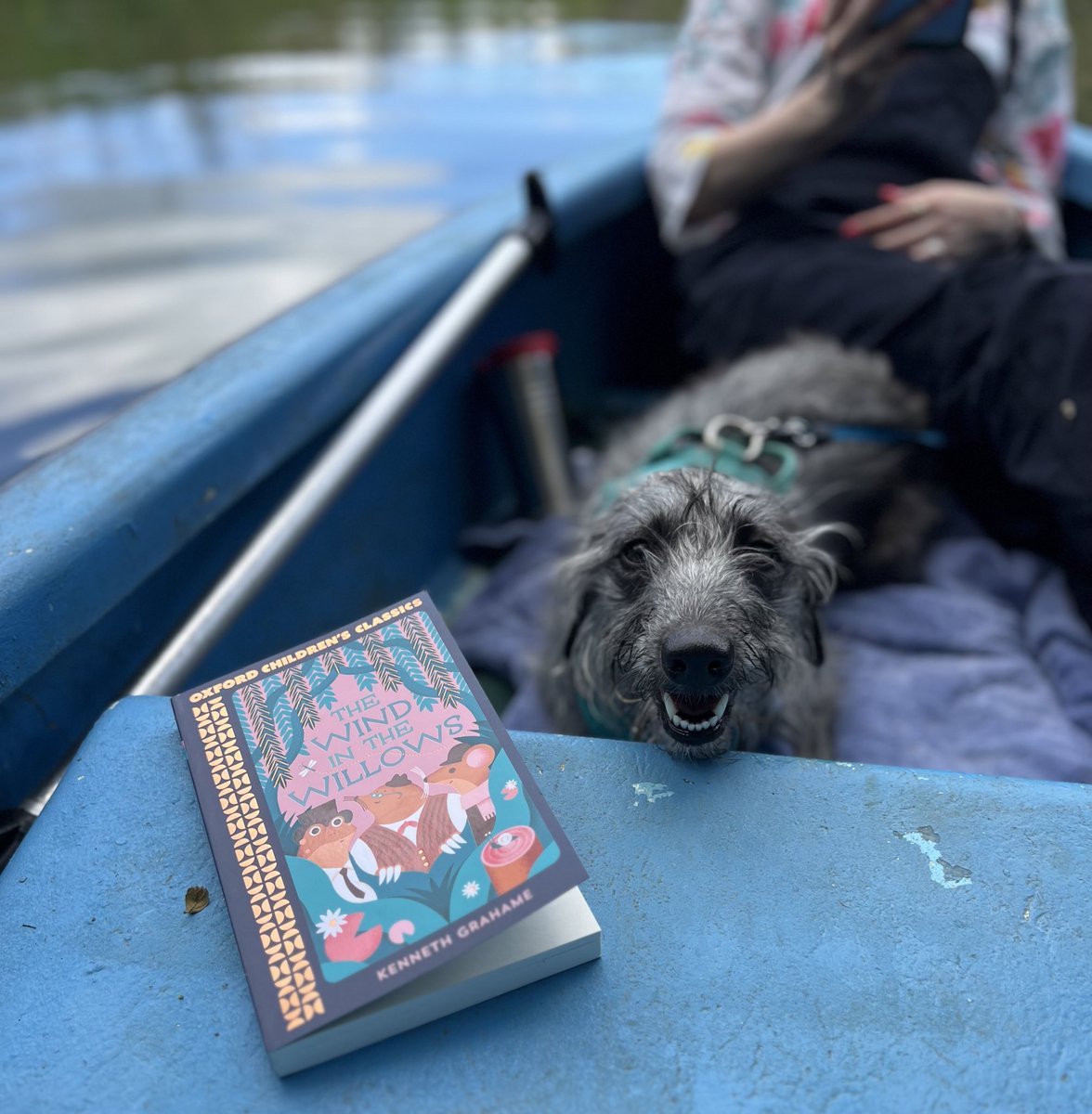 MGLnrd's tweet photo. To my delight, I was approached to write an introduction to the new @OxfordChildrens Classics edition of The Wind in the Willows. This book has been a touchstone at many pivotal points in my life, so it is a great honour to introduce it to new readers. Available @Waterstones https://t.co/34SLmc9XDO