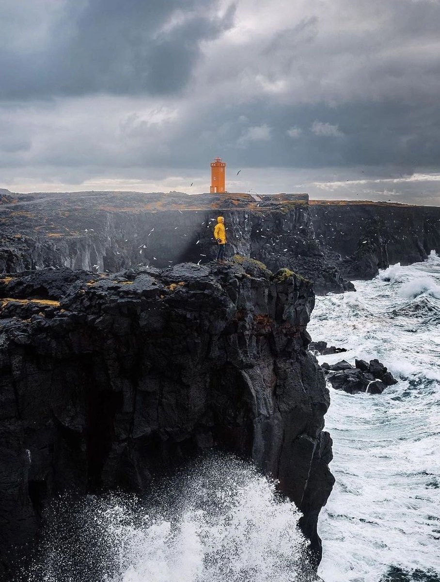 jennyli199011's tweet photo. Summer in Iceland has long days and extremely comfortable weather
Driving on the road with 🌺 lupin flowers
Daydreaming in the middle of summer
#worldcaptures #ig #travel #nature #wanderlust #travelphotography #world #worldplaces #landscape
#travelgram #traveltheworld #beautifuld https://t.co/sTiWn7Romq