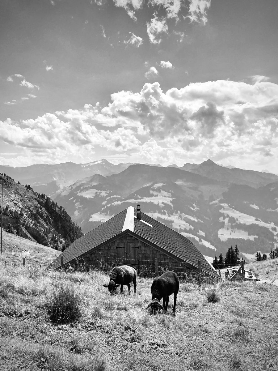 themullerfiles's tweet photo. Warm down in the valley, cooler (and peaceful) higher up ποΈπ.
#mountainscenes #blackandwhitephotography https://t.co/U6bqDK88Ww