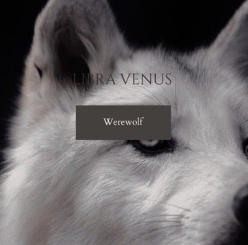 agustse4's tweet photo. werewolf JK fled to toussaint after being driven out of his village as a teenager 5 years earlier, he’s concealed himself well, managing to avoid detection despite the rumors that circulate about the howls of a shadowy beast that echo across the rolling lands under the full + https://t.co/VED7jDGllx