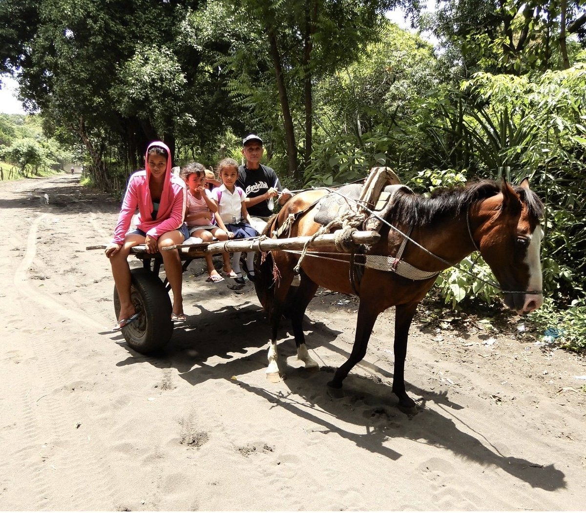 LatAmTravelist's tweet photo. #Nicaragua #photooftheday
En route to volcano board down the cinder slopes of Cerro Negro we came across this father on the school run with his daughters.
Hop on, he said, plenty of room!
#VisitNicaragua #travwriters #travelphotography #photography #lovenicaragua
#pinoleros https://t.co/9azULgo3YB