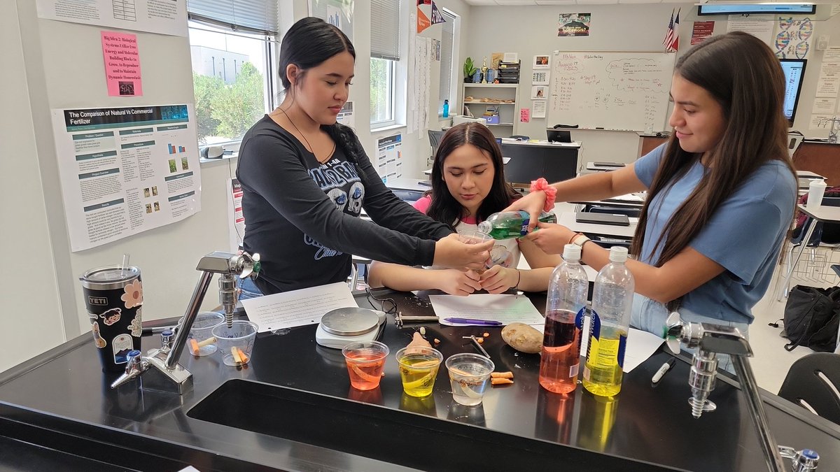 Clint High School STEM (@clintstem) on Twitter photo Clint High School Dual Credit, Finding the sucrose molar concentration of a potato and sweet potato using the concept of osmosis. <a href="/ClintHSLions/">Clint High School</a> Clint High School Dual Credit, Finding the sucrose molar concentration of a potato and sweet potato using the concept of osmosis. <a href="/ClintHSLions/">Clint High School</a>