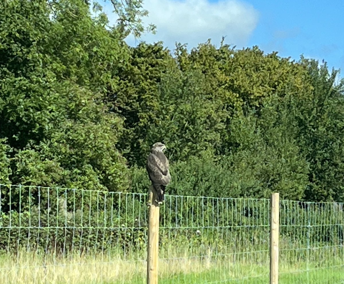 OffTheLine tweet media