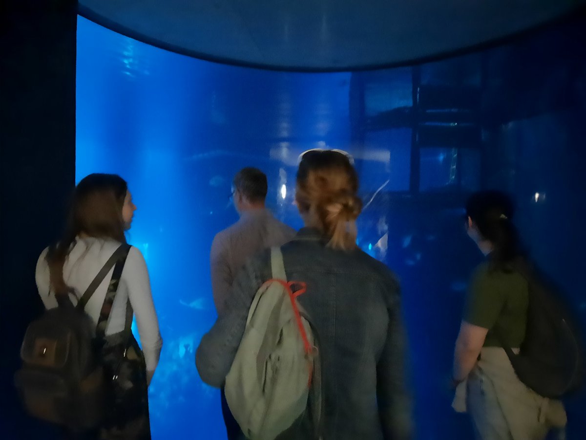 Had a great day at <a href="/TheDeepHull/">The Deep</a> with <a href="/PalaeoLeeds/">Palaeo@Leeds</a> <a href="/sauropodlets/">Amy Elizabeth Shipley</a> <a href="/annabelnicho/">Annabel</a>